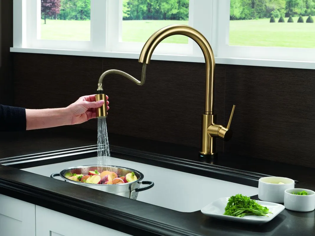 delta kitchen sink faucets
