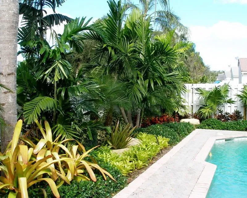 landscaping ideas for tropical gardens
