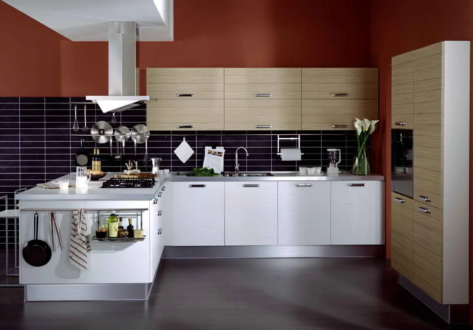 modern kitchen cabinets miami