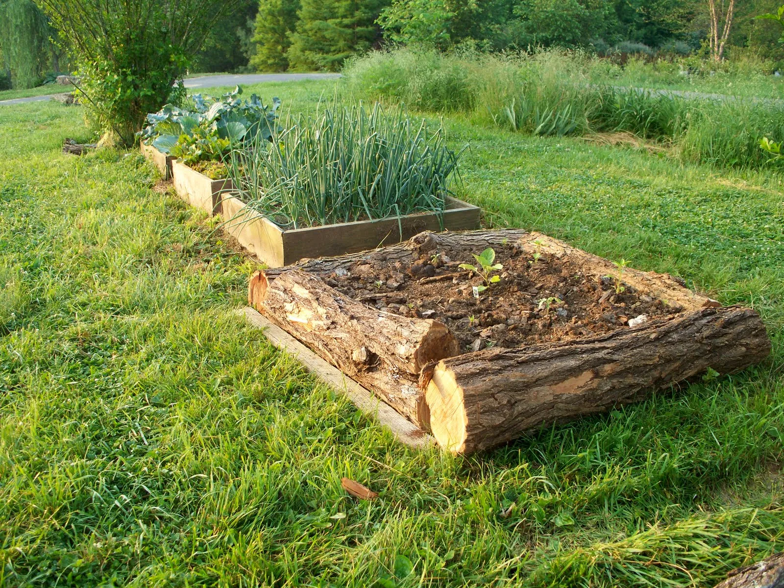 raised bed garden irrigation ideas
